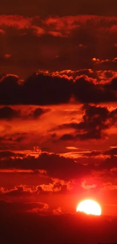 Fiery sunset with dramatic clouds glowing red against the evening sky.