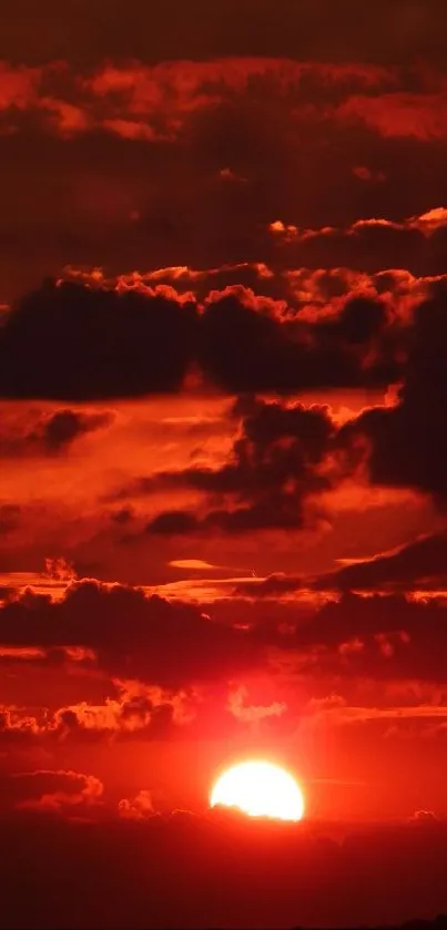 Fiery sunset with orange clouds and vibrant sky.