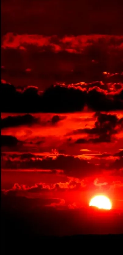 Fiery sunset with red clouds and a setting sun on mobile wallpaper.