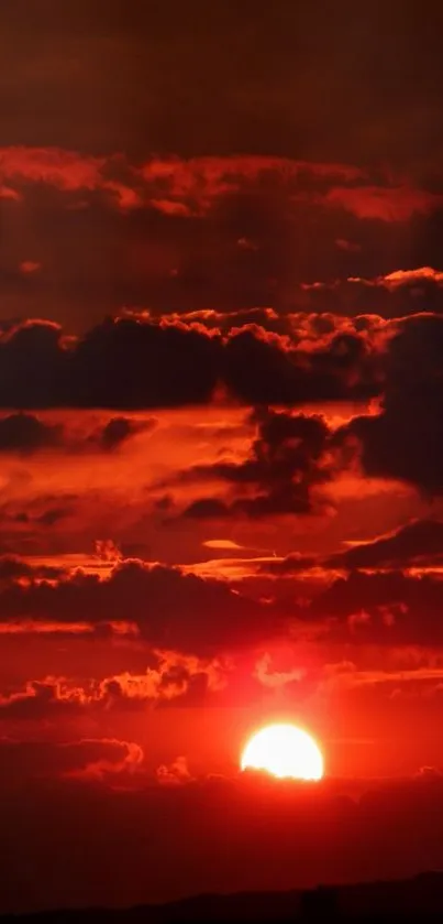 Fiery sunset with red clouds in the sky.