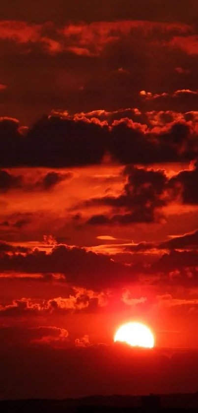 Fiery sunset over horizon with vibrant red sky.