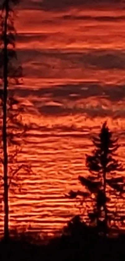 Silhouetted trees set against a fiery orange sunset sky.