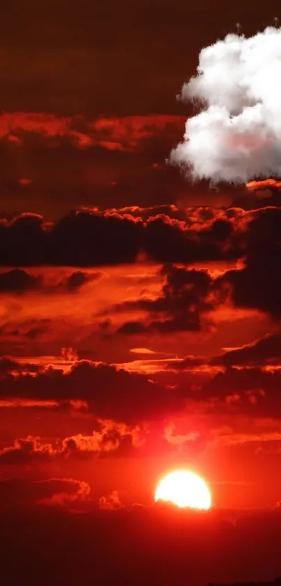 A vibrant fiery sunset with dramatic cloud formations.