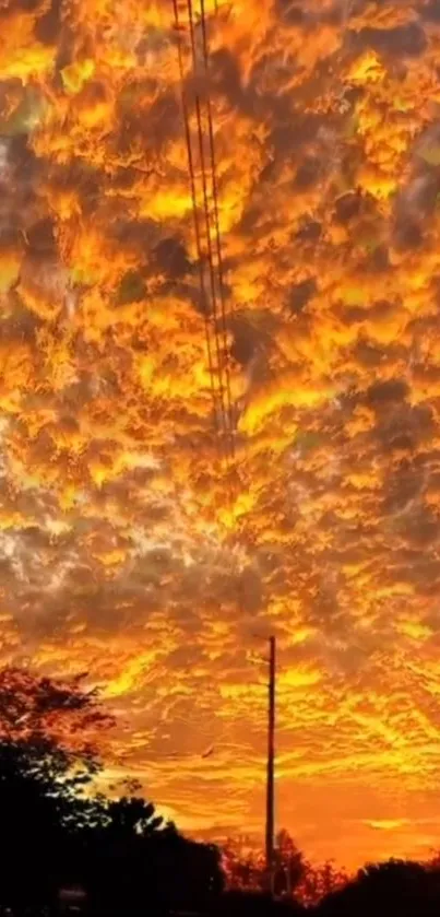 Fiery sunset sky with vivid orange clouds.