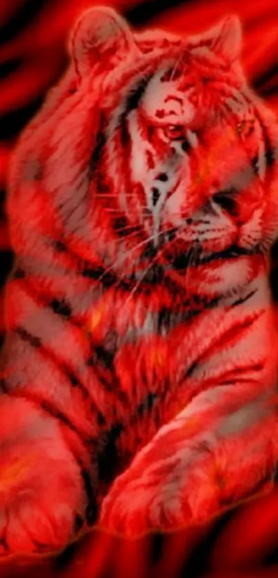 Fiery red and black tiger wallpaper design.