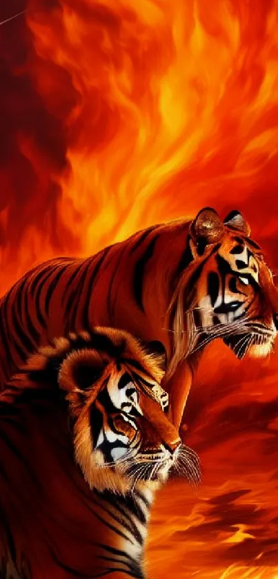 Two majestic tigers amidst a fiery orange background, creating a vivid mobile wallpaper.