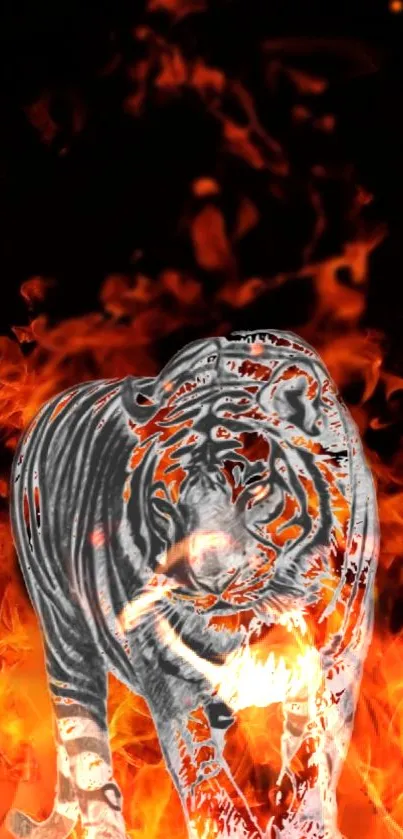 Silver tiger amidst vibrant orange flames wallpaper.