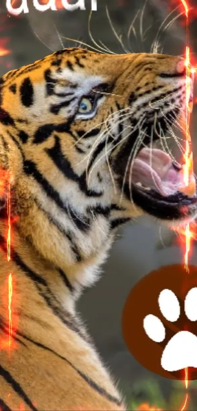 Fiery tiger roaring with flames and paw symbol design.