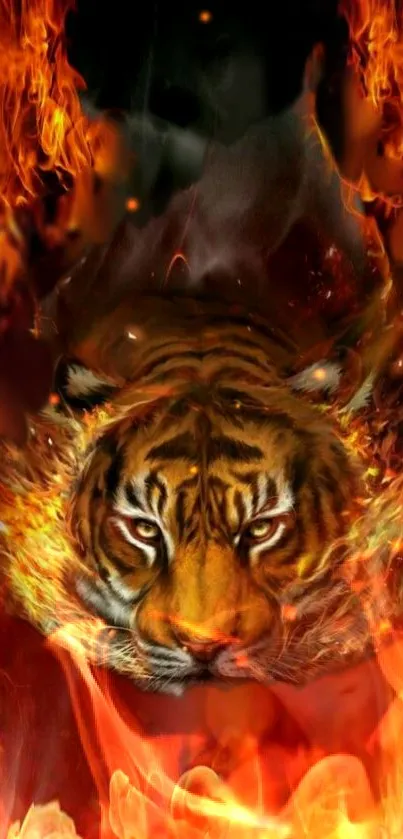 Fiery tiger in flames wallpaper for mobile.