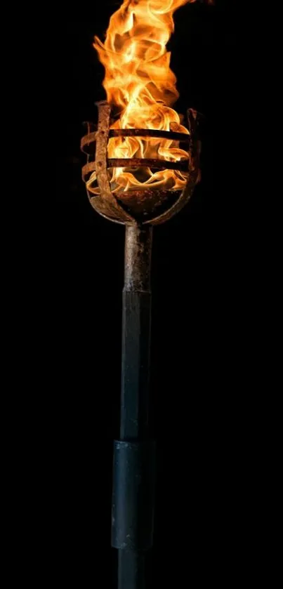 A vivid flame torch against a black background for mobile wallpaper.