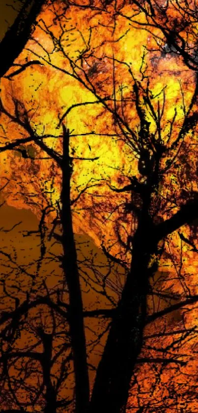 Orange fiery background with silhouetted tree branches.