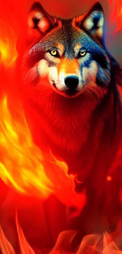 Fiery wolf surrounded by vibrant flames in mobile wallpaper.