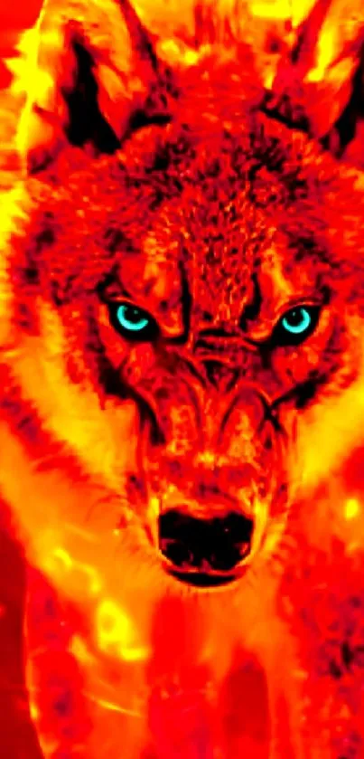 Fiery wolf with glowing blue eyes on mobile wallpaper.