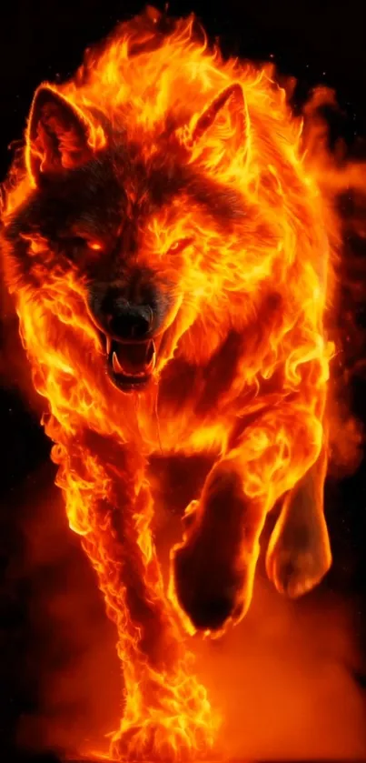 A fierce fiery wolf engulfed in flames on a dark background.