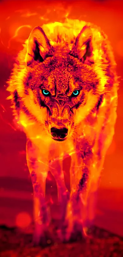 Fiery wolf with blue eyes on a red background.