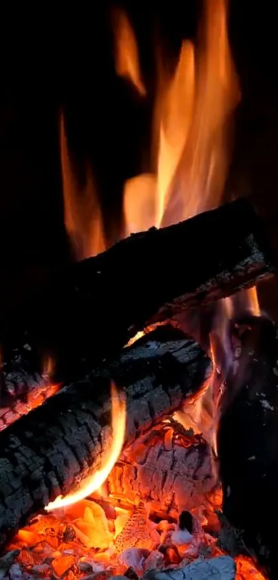 Close-up of burning wood with vibrant flames creating a warm glow.