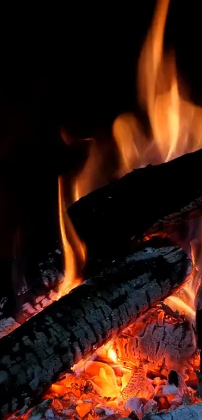 Close-up of flickering flames over burning wood. Vibrant and intense.