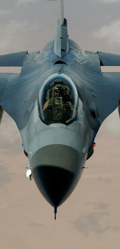 Military fighter jet soaring in the sky.