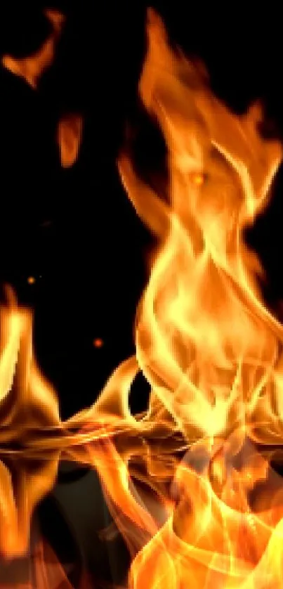 Fire Bonfire Flame Live Wallpaper