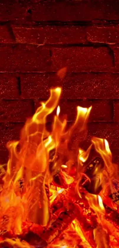 Fire Flame Heat Live Wallpaper