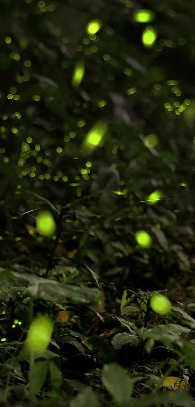 Fireflies glowing along a serene forest path at dusk.