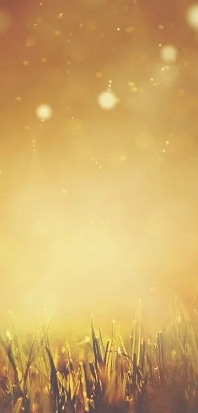 Fireworks Live Wallpaper