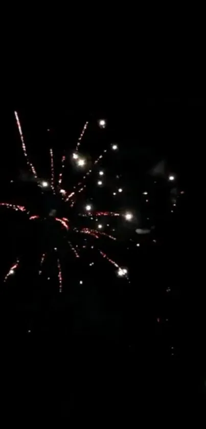 Vibrant fireworks lighting up the dark night sky in an explosive display.