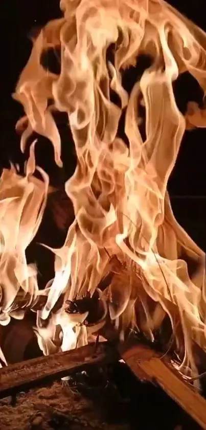 Flame Fire Heat Live Wallpaper