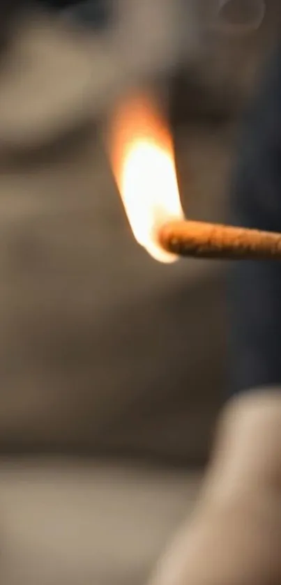 A wooden stick with a bright flame against a muted background.