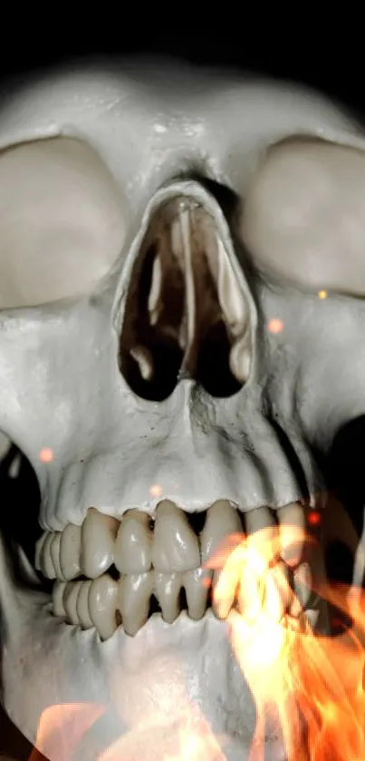 A realistic skull engulfed in vivid flames on a mobile wallpaper.