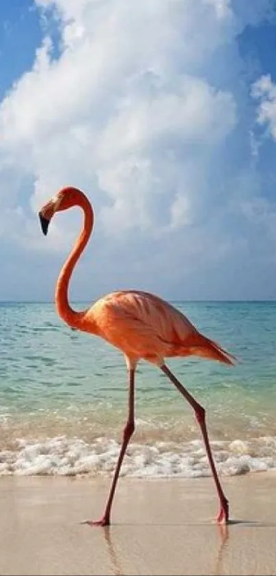 Pink flamingo walking on serene tropical beach with blue sky.