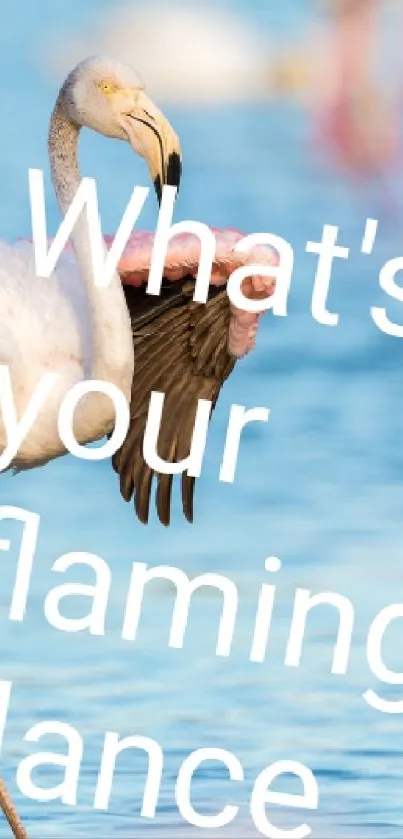 Flamingo dancing in blue water with inspirational text.