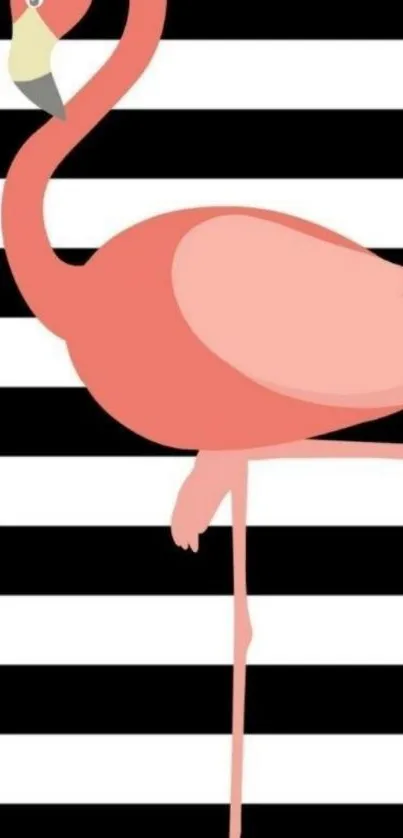 Coral pink flamingo on black and white striped background.