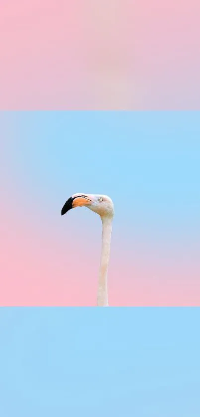 Minimal flamingo on pastel blue and pink gradient wallpaper.