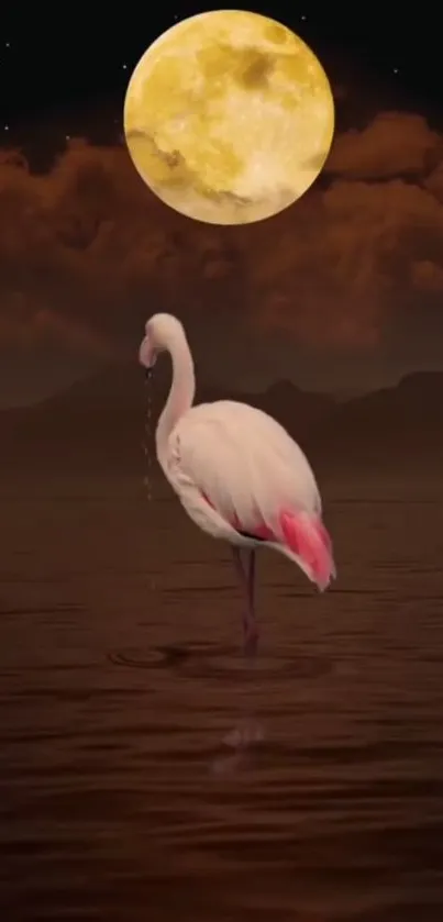 Flamingo standing under a bright full moon at night.