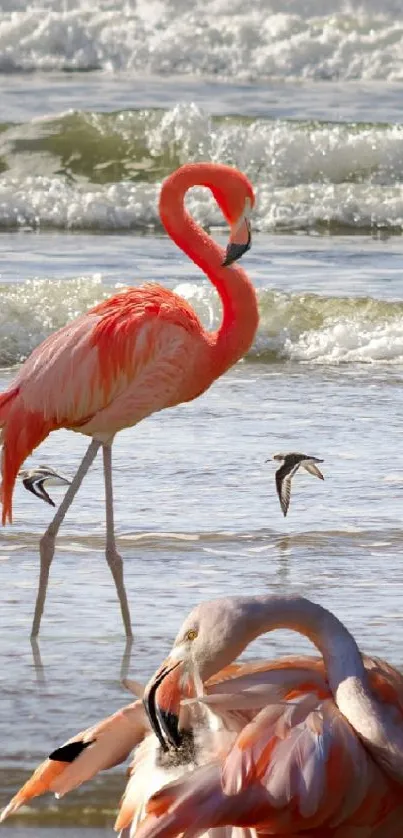 Flamingos stand gracefully by the ocean waves with vibrant colors.