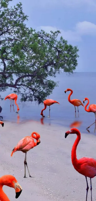 Vibrant flamingos on a serene beach with a blue sky.