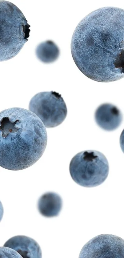 Floating blueberries on a white background.