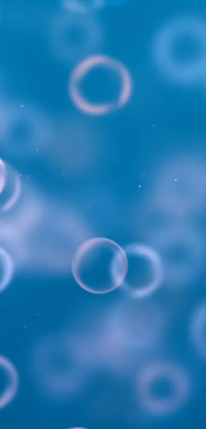 Mobile wallpaper with floating bubbles on blue background.