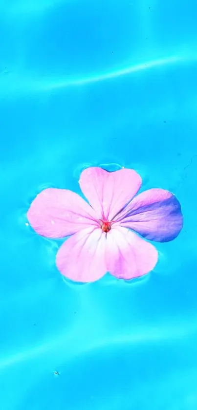 Pink flower floating on vibrant blue water.