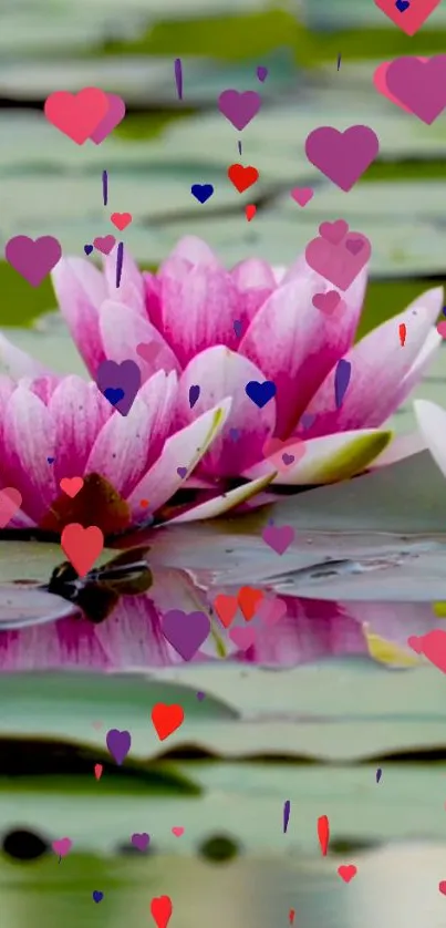 Mobile wallpaper with pink lotus and floating hearts.