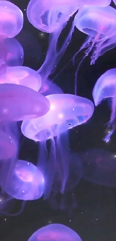 Mobile wallpaper featuring glowing purple jellyfish in an underwater scene.