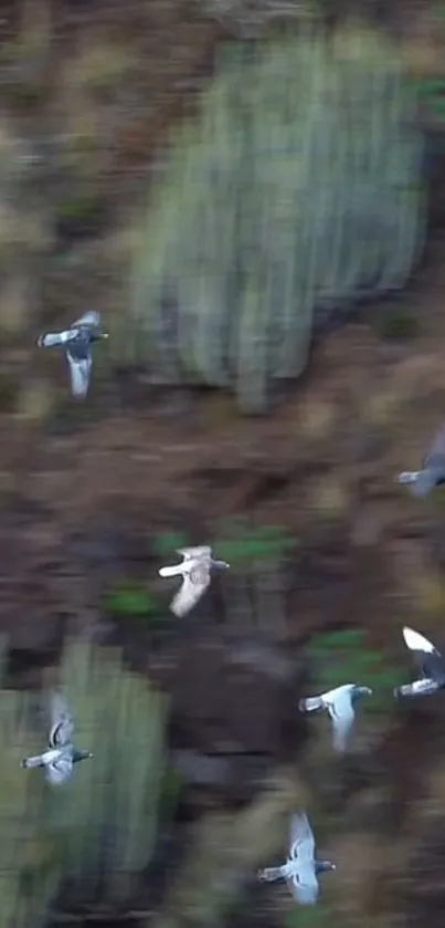 Flock of birds flying over a natural landscape background.