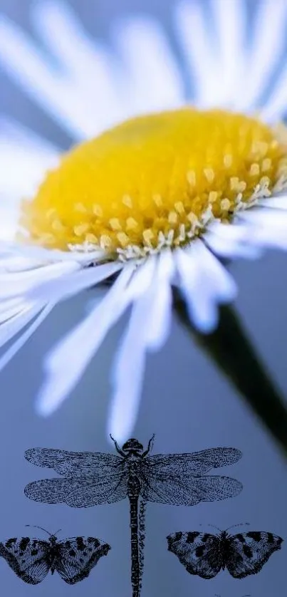 Flora Flower Plant Live Wallpaper