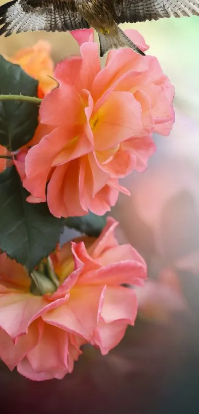 Mobile wallpaper featuring pink roses and a bird set against a gradient background.