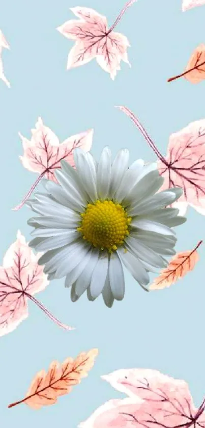 Daisy and pink leaves on light blue background wallpaper.