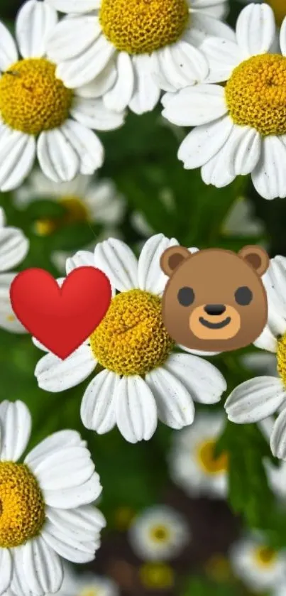 White daisies with heart and bear emojis on green background.