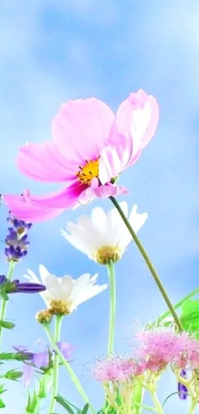 Colorful flowers against a blue sky.