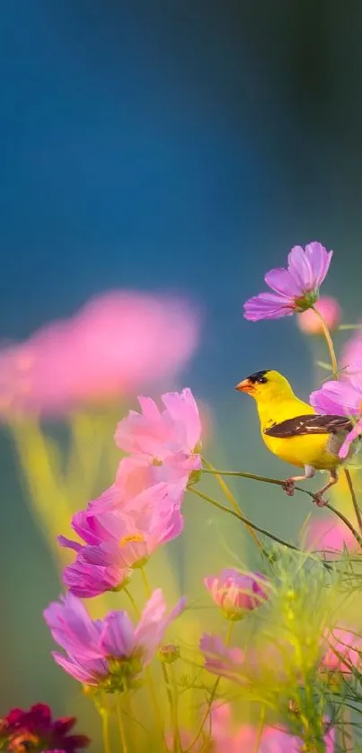 Yellow bird amidst vibrant wildflowers with a blue background.