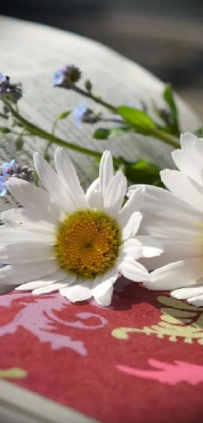 Open books with daisies and floral design create a serene wallpaper aesthetic.